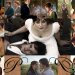 Orgulho e Preconceito - Fanfics