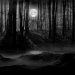 Terror/Suspense