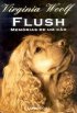 Flush