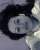 ANE