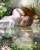 Andr�a