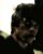 Jo�o