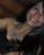 Ana L�cia