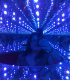 K�tia Fujihara