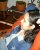 C�ssia
