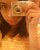 Aliine