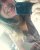 Lii Nic�cio