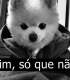 Gubinato