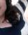 Fl�h