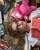 laysadyoliveira