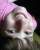 J�lia