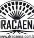 Dracaena