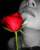 Al�
