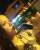 Thami Wild