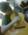 Jo�o Gabriel