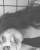 thayn�