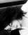 Bree