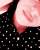 Cristiane
