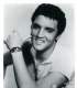 Elvis