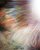 Nat�lia Ranhel