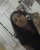 Biaa