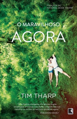 O Maravilhoso Agora O Maravilhoso Agora